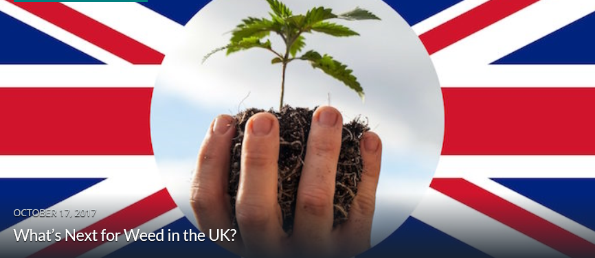 Read more about the article Cannabis in the UK