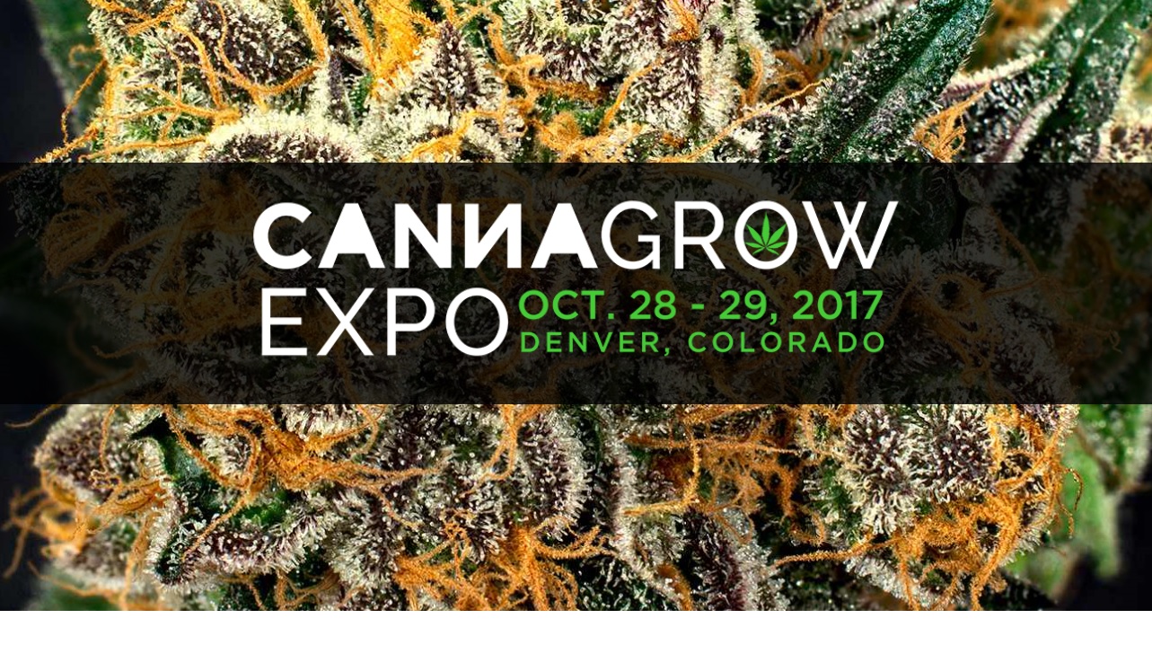 Read more about the article CannaGrow Expo