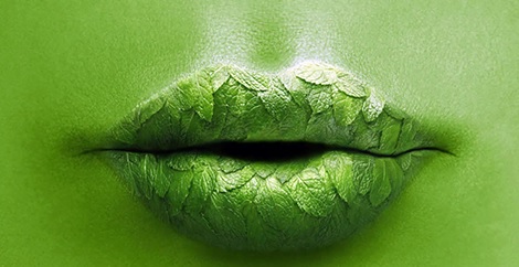 Read more about the article Cannabis Cosmetics