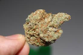 Marijuana bud