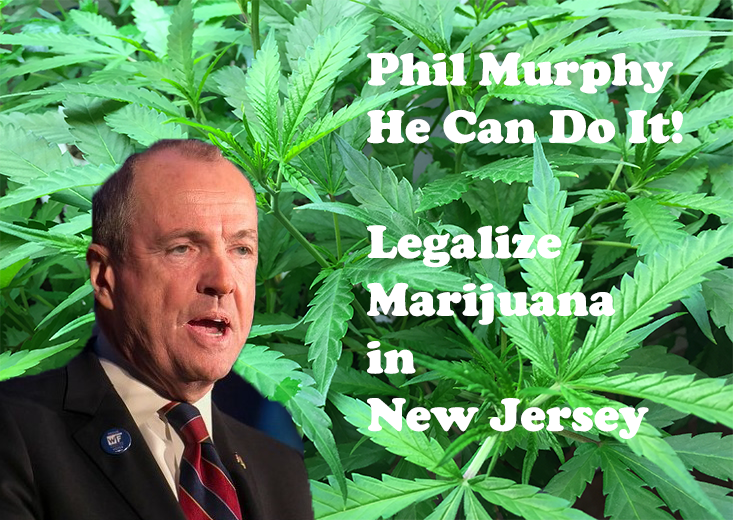 Phil Murphy - Weed Candidate