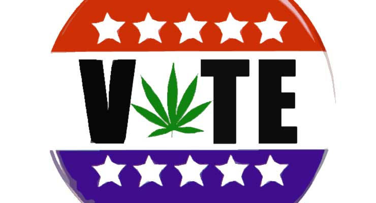 pot vote