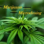 Marijuana Microdosing