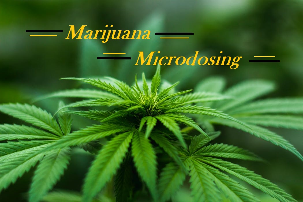 Read more about the article Everything You Need to Know About Marijuana Microdoses